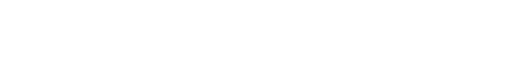 Bloom'n Logo