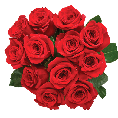 Red Roses