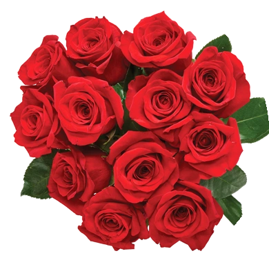 Red Roses